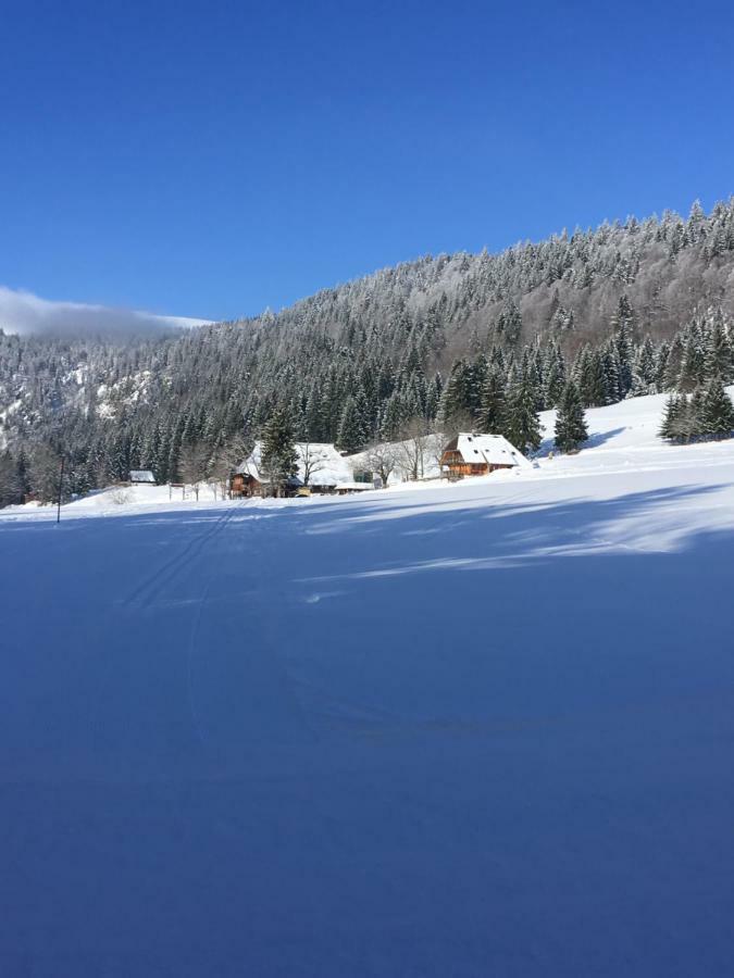 Chalet Breitnauschoen Εξωτερικό φωτογραφία
